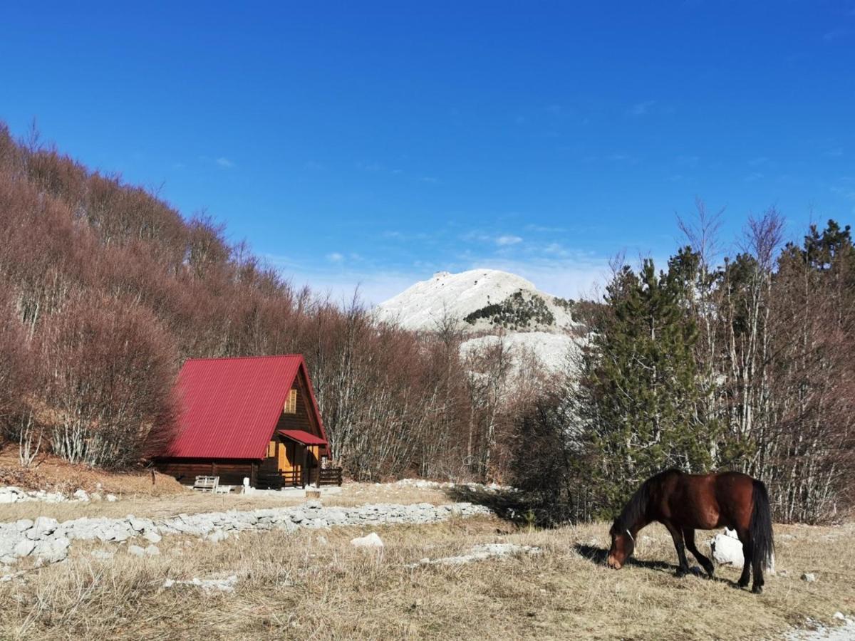 Breeze Home Cottage Cetinje Exteriör bild